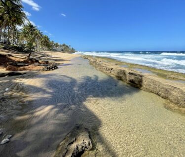 Kikita Surf Beach